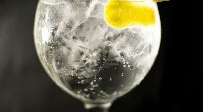 Gin con Limón