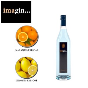imagin-gin-con-naranja-y-limon