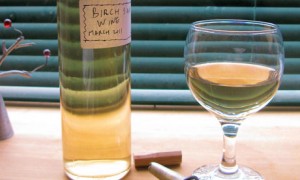 Birch sap wine